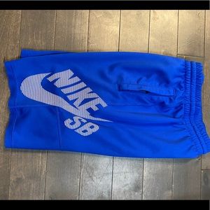 Nike | Nike SB Sunday Dri-Fit shorts